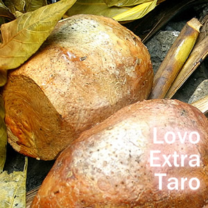 Extra Taro Lovo